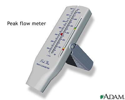 Peak flow meter